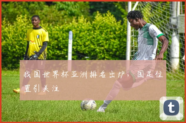 我国世界杯亚洲排名出炉，国足位置引关注